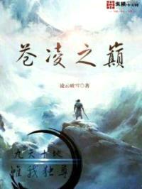 苍凌之巅封面