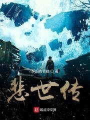 悲世传封面
