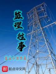 监理往事封面