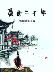 觅君三千年封面