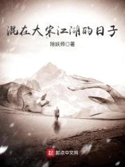 混在大宋江湖的日子封面