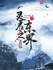 灵启之东界封面