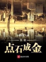 我能点石成金封面