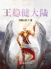 王稳健大陆封面