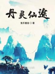 丹灵仙途封面