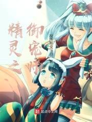 精灵之御宠师封面