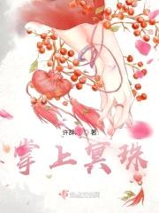 掌上冥珠封面