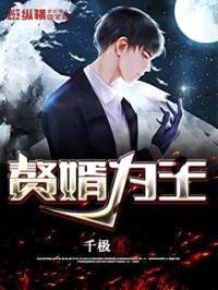 赘婿为王封面