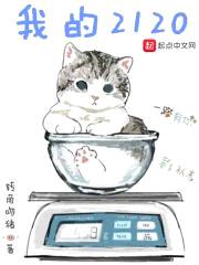 我的2120封面