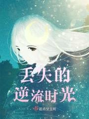 丢失的逆流时光封面