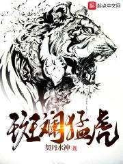 斑斓猛虎封面