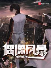偶像风暴封面