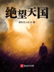 绝望天国封面