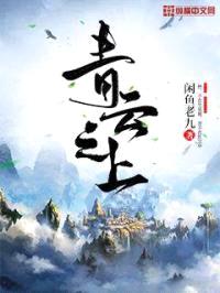 青云之上封面