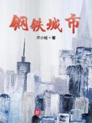 钢铁城市封面