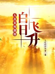 人在农村即将白日飞升封面