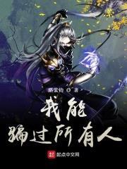 我能骗过所有人封面
