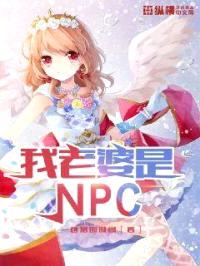 我老婆是NPC封面