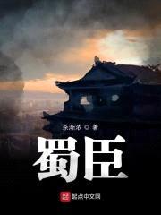 蜀臣封面