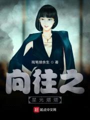 向往之星光熠熠封面