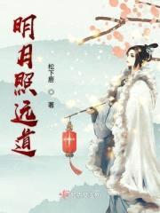明月照远道封面
