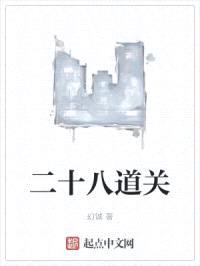 二十八道关封面