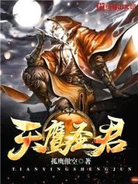 天鹰圣君封面