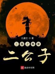 三国之韩家二公子封面
