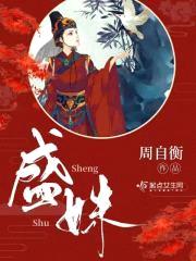 盛姝封面