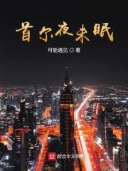 首尔夜未眠封面