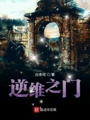 网游之逆维之门封面