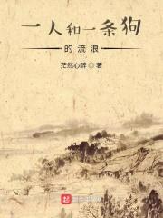 一人和一条狗的流浪封面