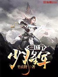 少将军三国行封面