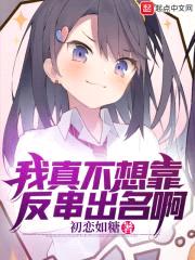 我真不想靠女装出名啊封面
