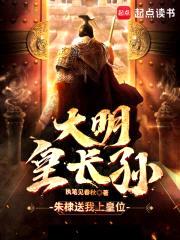 大明皇长孙封面