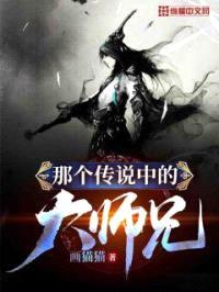 那个传说中的大师兄封面