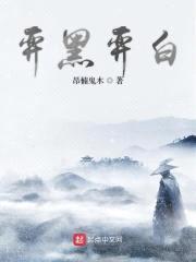 弈黑弈白封面