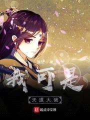 我可是天道大佬封面