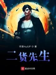 二货先生封面