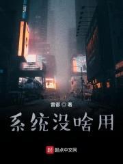 系统没啥用封面