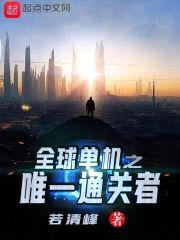 全球单机之唯一通关者封面