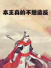本王真的不想造反封面