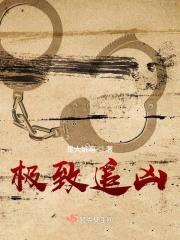 极致追凶封面