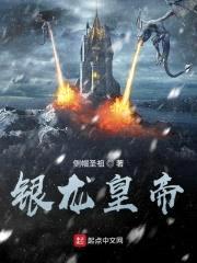 银龙皇帝封面