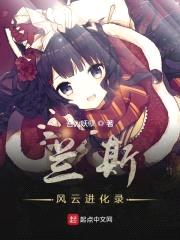 兰斯风云进化录封面
