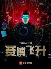 赛博飞升封面