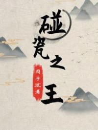 碰瓷之王封面
