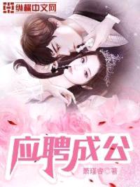 应聘成公封面