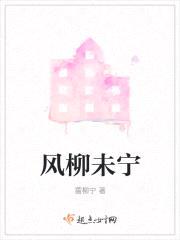 风柳未宁封面