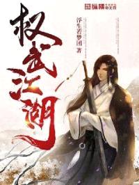 权武江湖封面